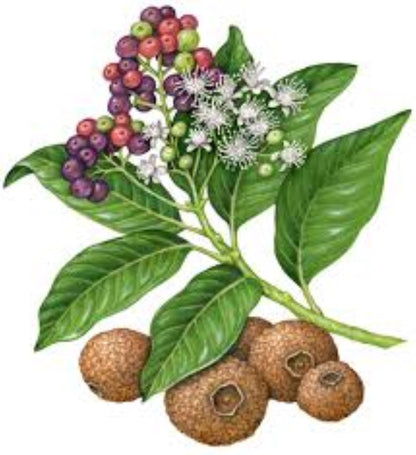 Organic Allspice Berries (pimento dioica)