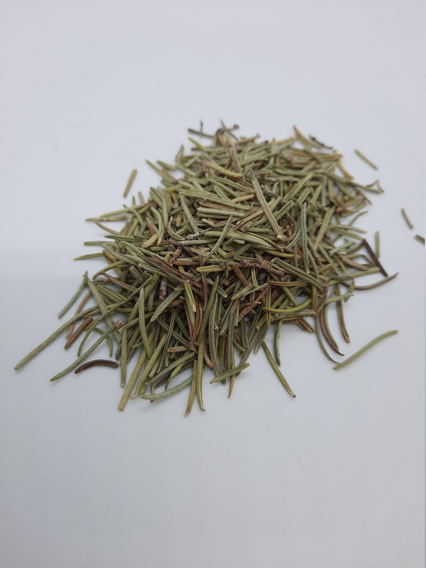 Organic Rosemary (salvia rosmarinus)