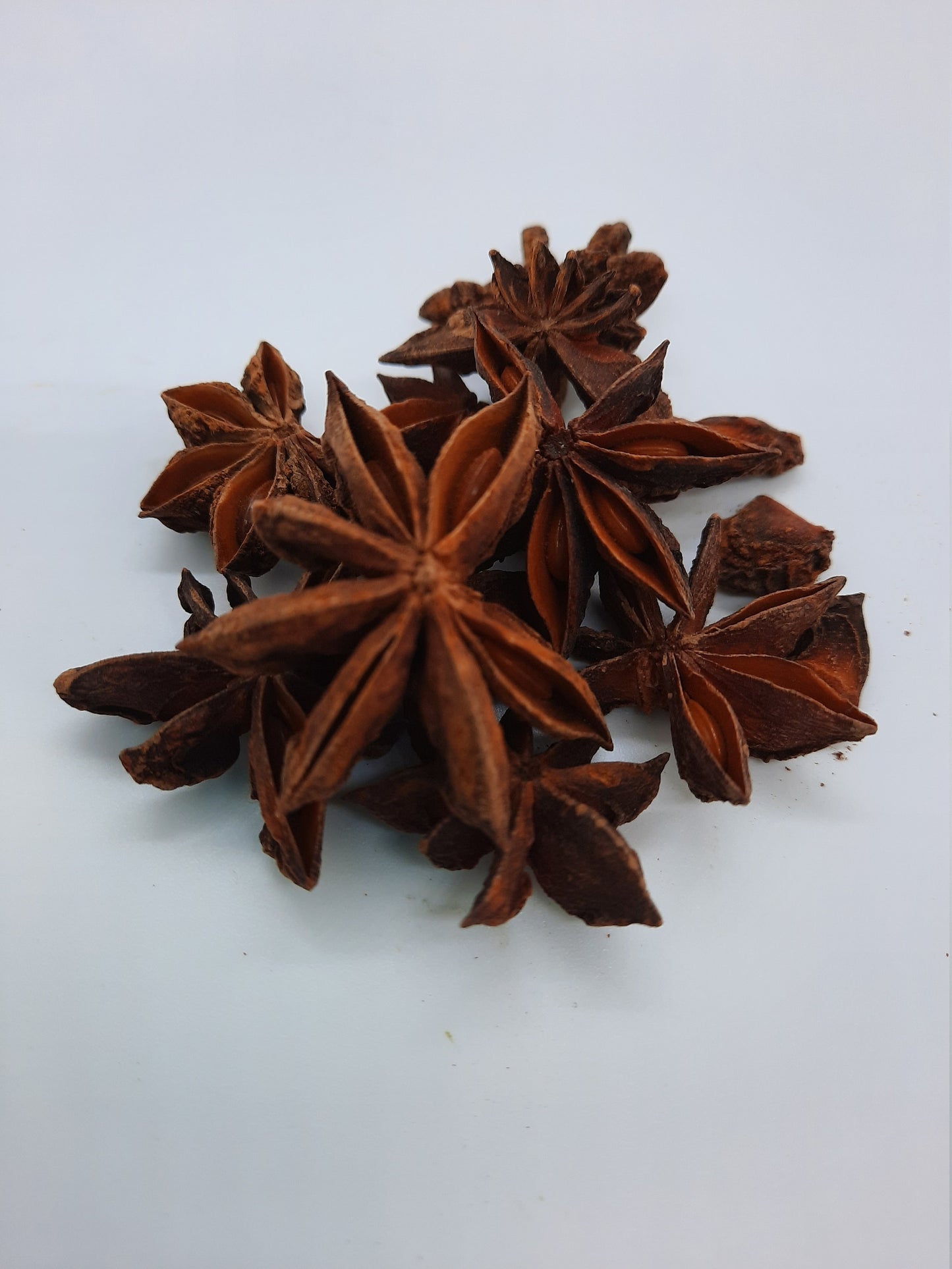 Organic Star Anise (illicium verum)