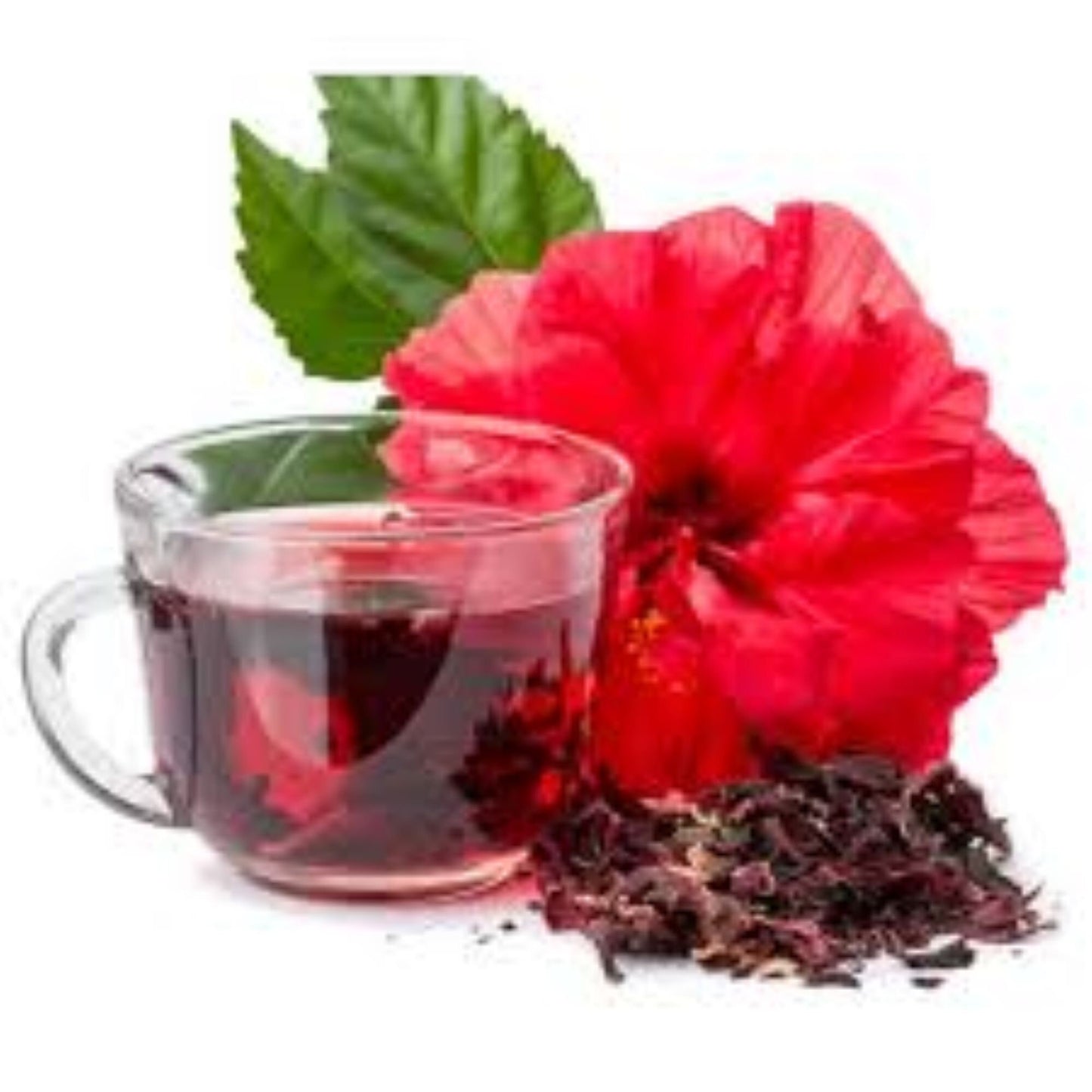 Organic Hibiscus Flowers (hibiscus rosa-sinensis)