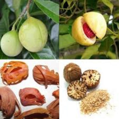 Organic Nutmeg (whole) myristica fragrans