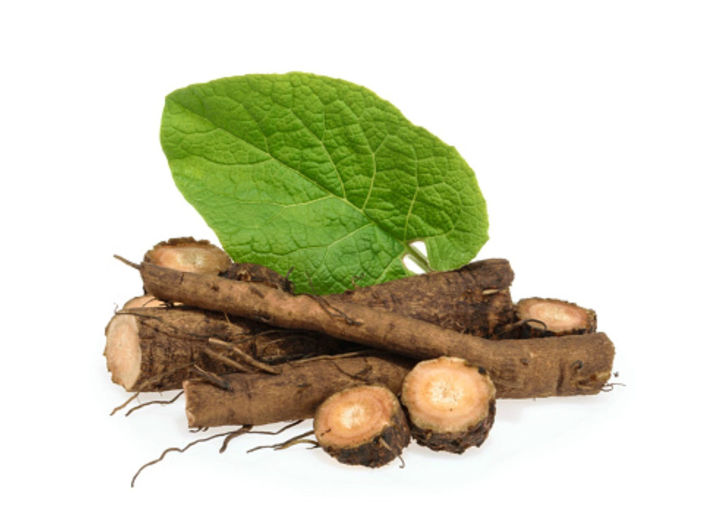 Organic Burdock Root (arctium lappa)