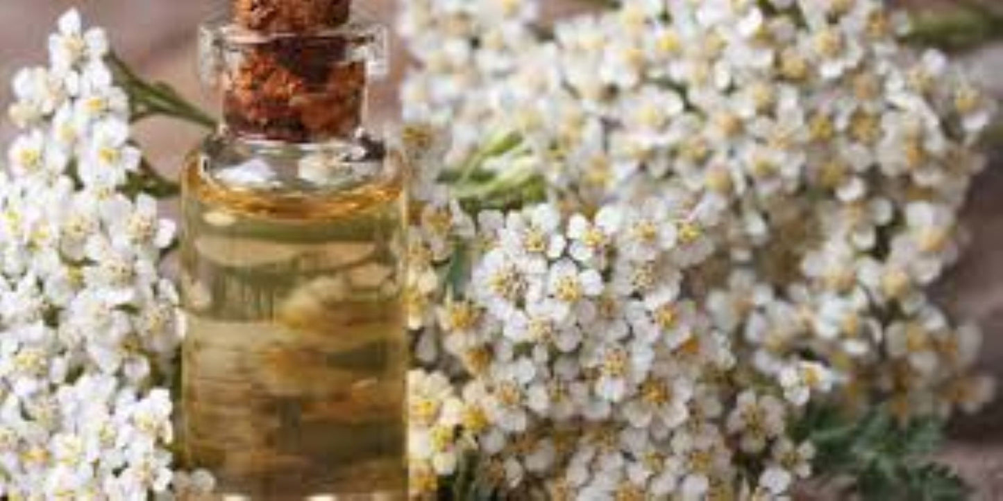 Organic Yarrow (Achillea millefolium)