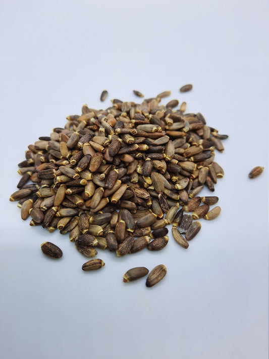 Organic Milk Thistle seed (Silybum marianum)