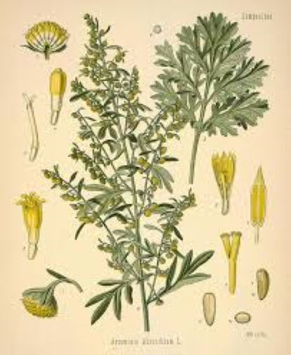 Organic Wormwood (Artemisia absinthium) FINE CUT