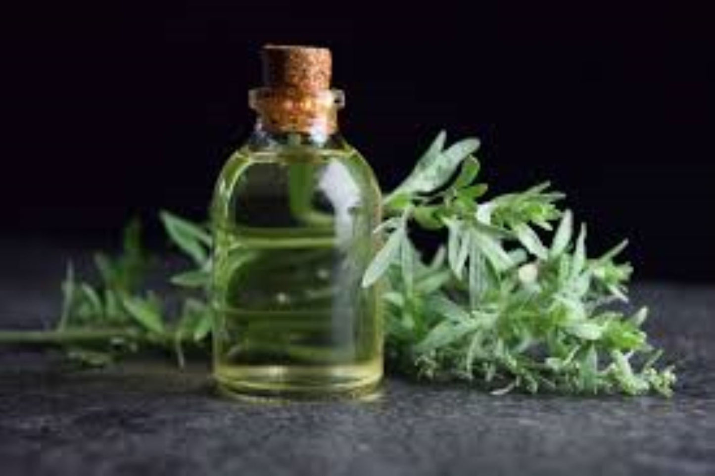 Organic Wormwood (Artemisia absinthium) FINE CUT