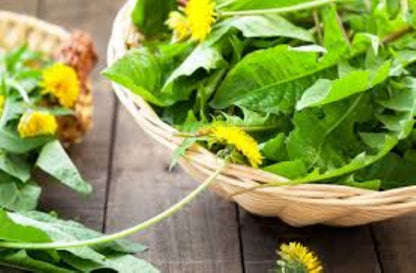 Organic Dandelion Leaf (taraxacum officinale)