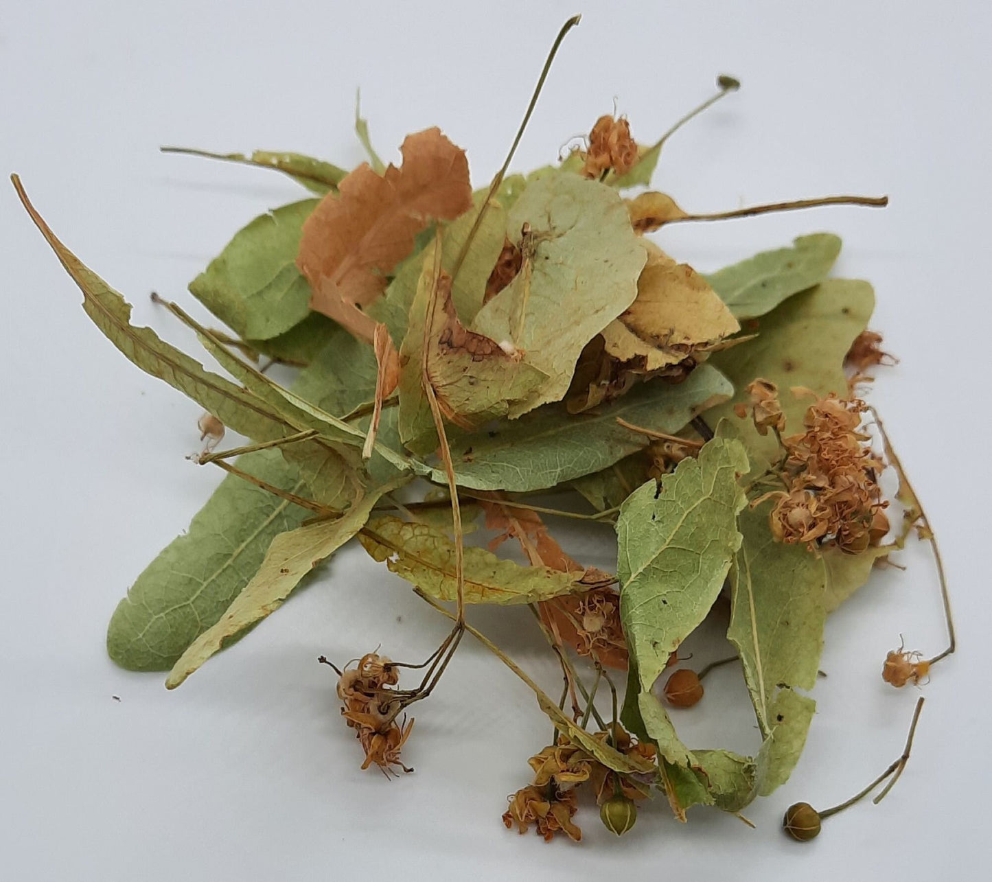 Organic Lime Flowers (linden, tilia spp)