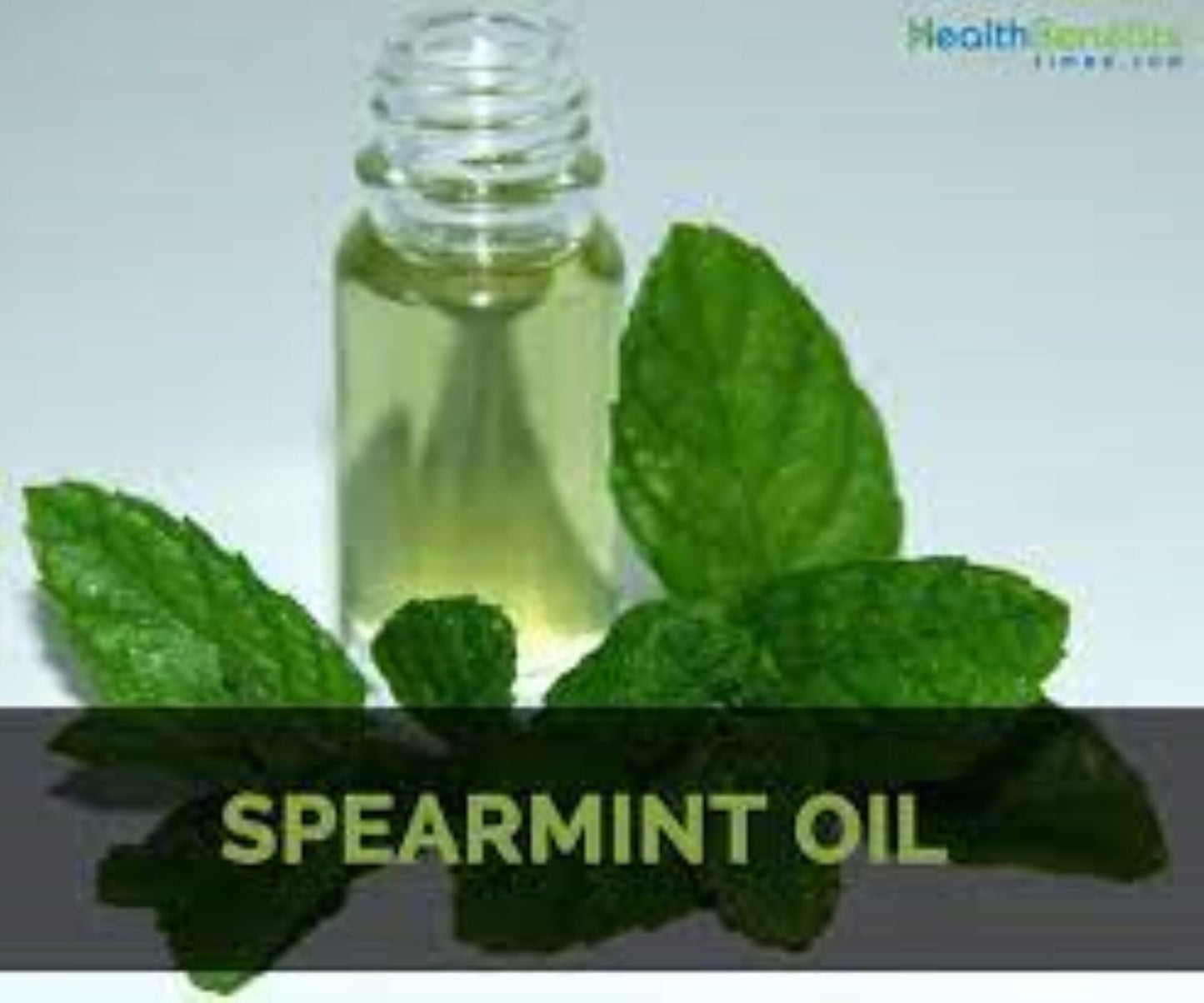 Organic Spearmint (mentha spicata)