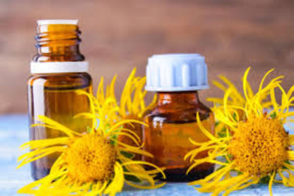 Organic Elecampane (inula helenium)