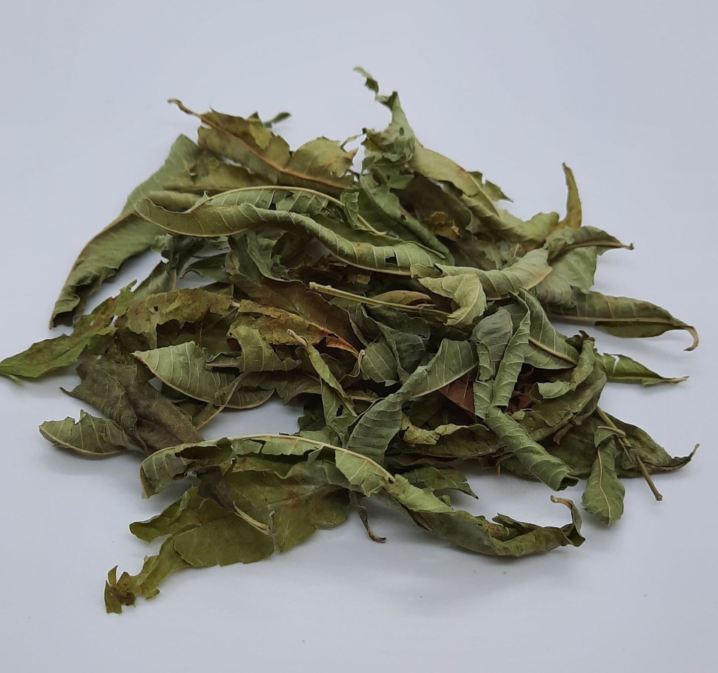 Organic Lemon Verbena (Aloysia triphylla)