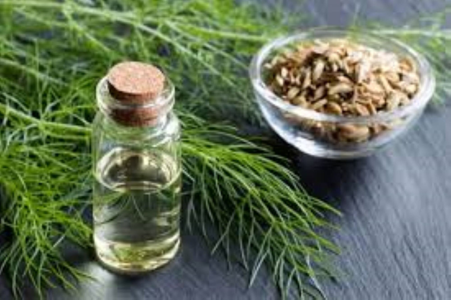 Organic Fennel Seeds (Foeniculum vulgare)