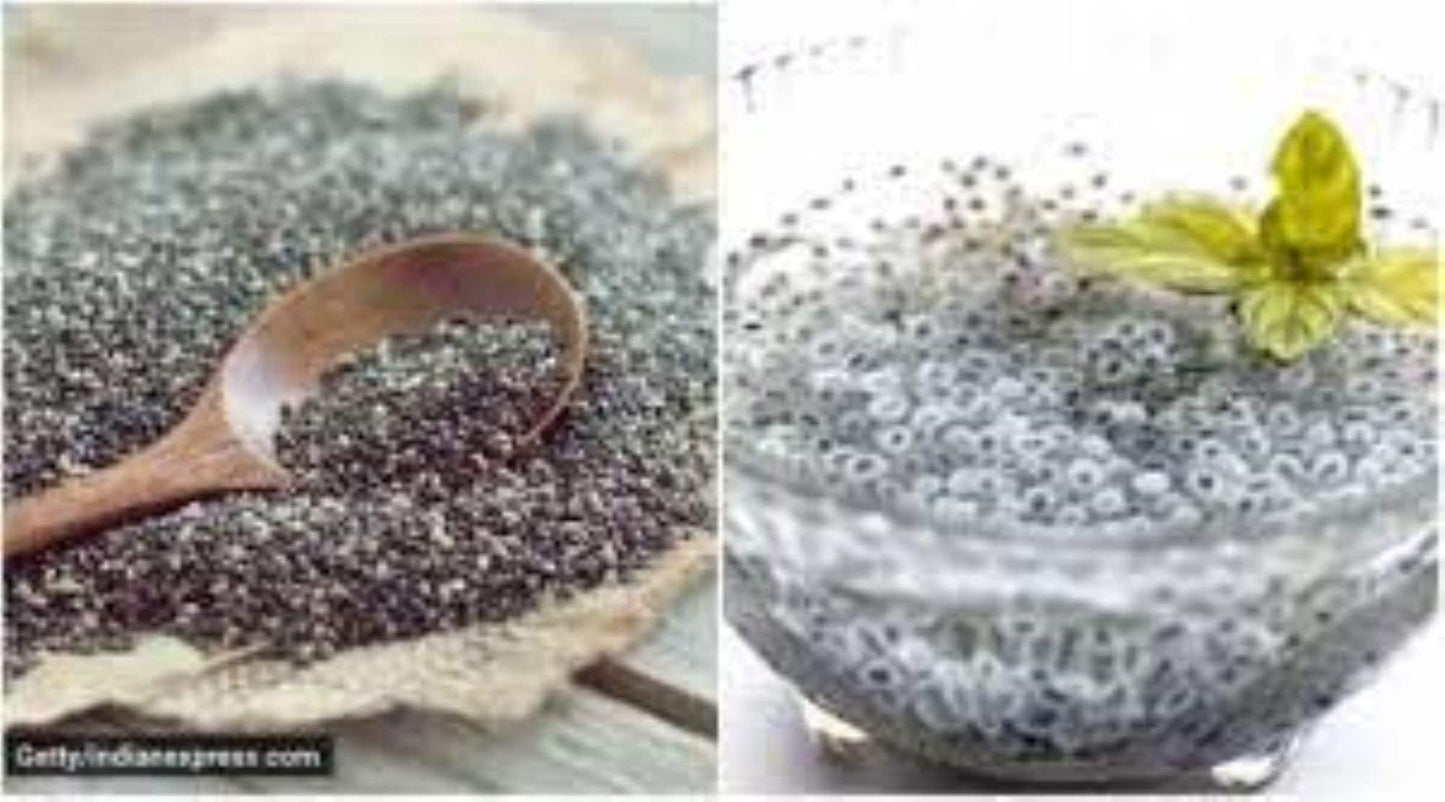 Organic Chia Seeds (salvia hispanica)