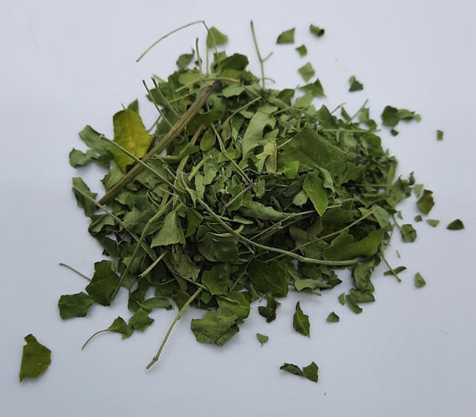 Organic Moringa (moringa oleifera)