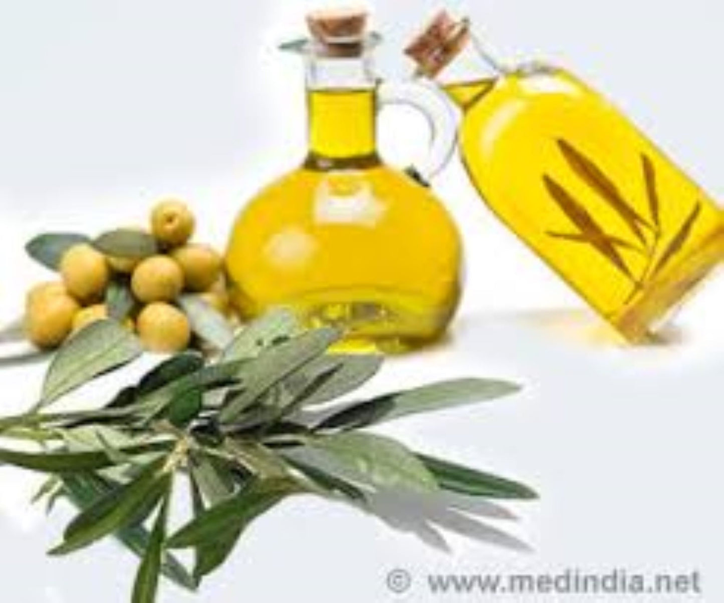 Organic Olive Leaf (olea europatea)