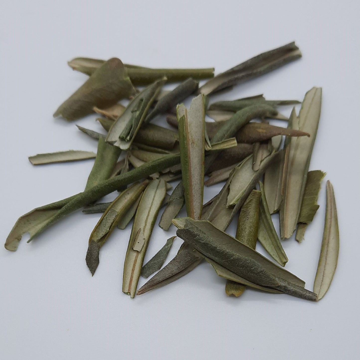 Organic Olive Leaf (olea europatea)