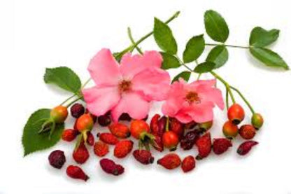 Organic Rosehip (rosa canina)