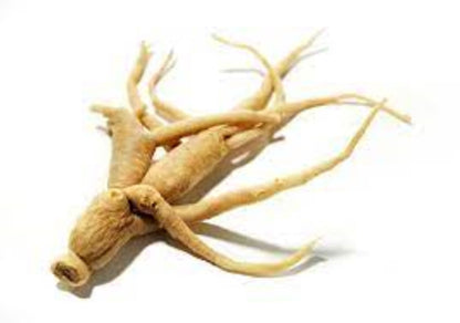 Organic Eleutherococcus Root, siberian ginseng (eleutherococcus senticosus)